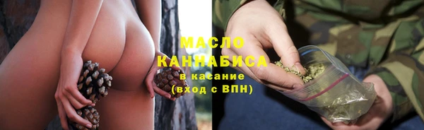 гидра Бородино