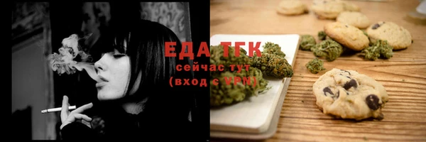 гидра Бородино