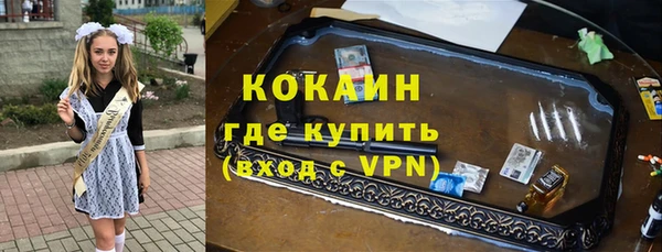 гидра Бородино
